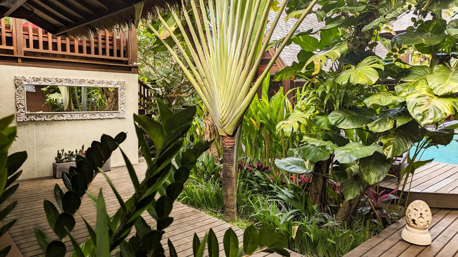 Bali Beginnings interior